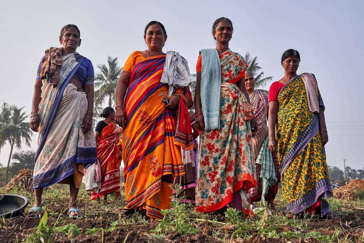 Spice Manufacturer In Andhra Pradesh