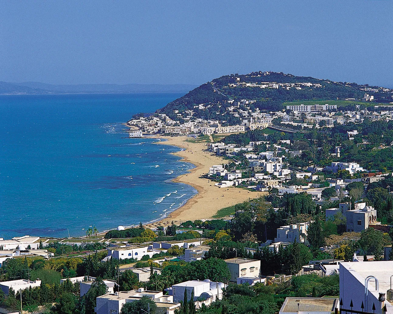 Spices culture in Tunisia