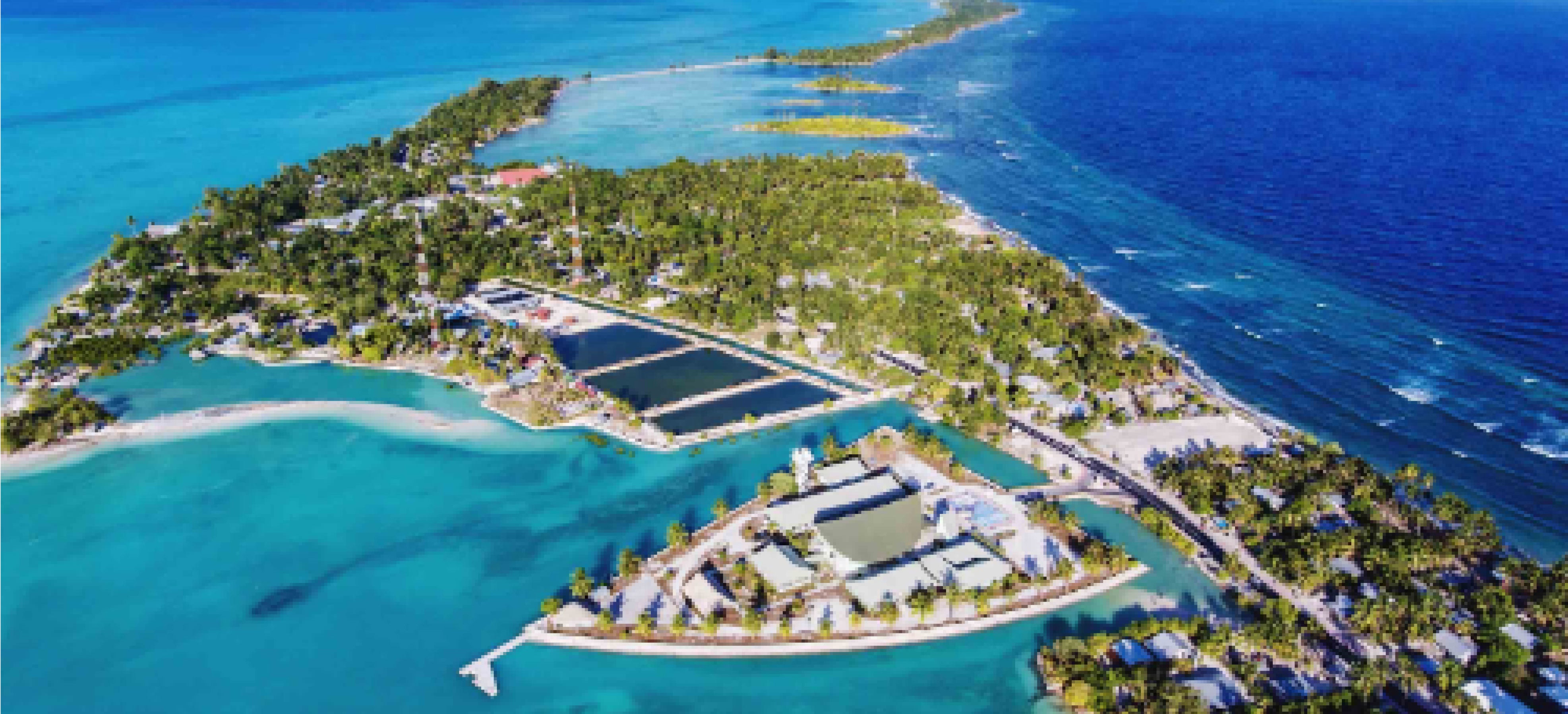 Spices culture in Kiribati