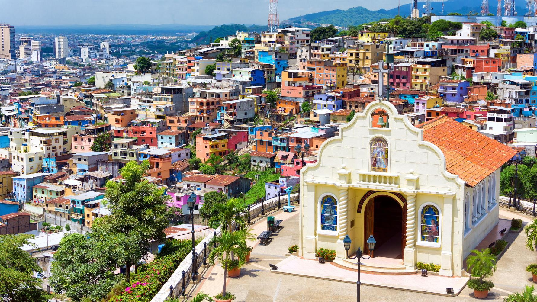 Spices culture in Ecuador