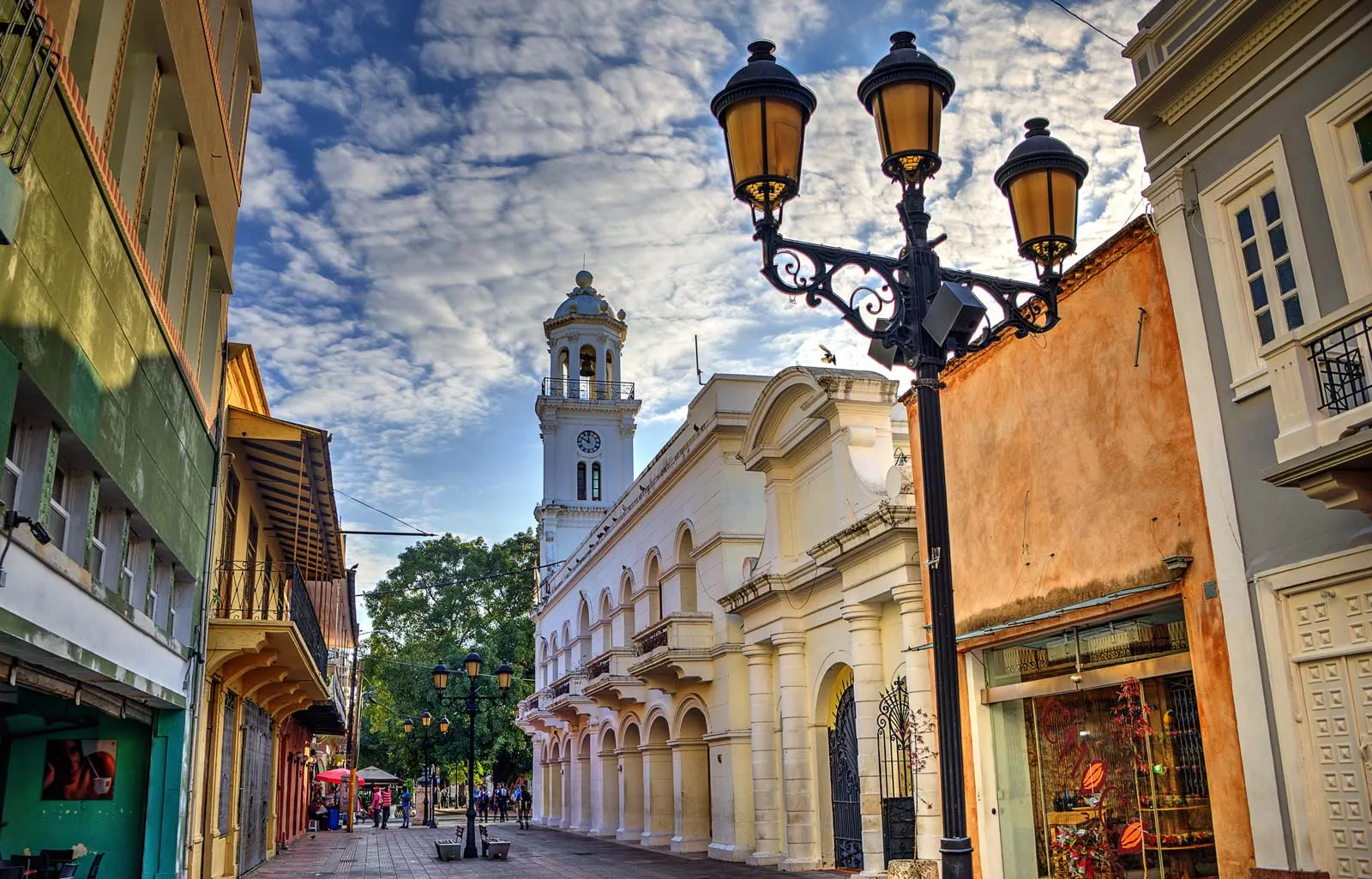 Spices culture in Dominican Republic
