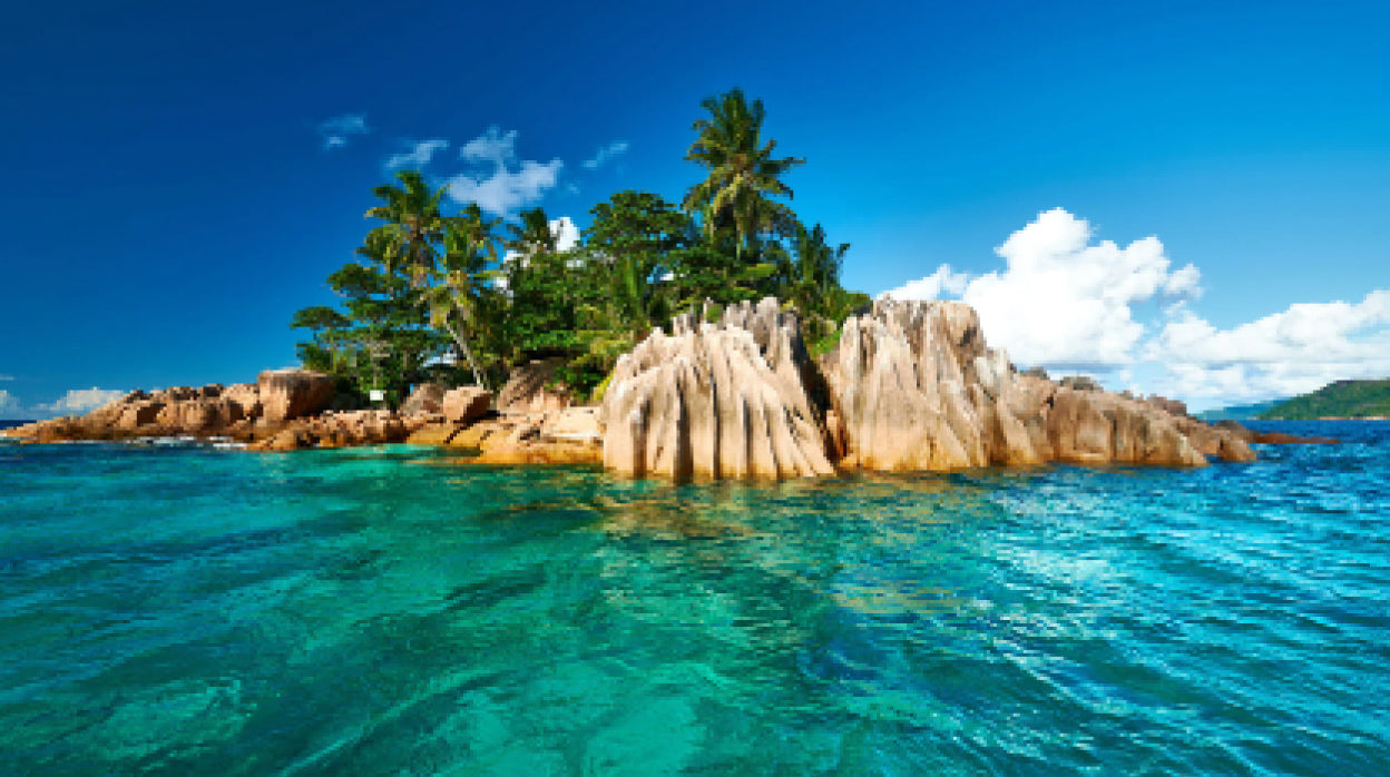 Spices culture in Seychelles