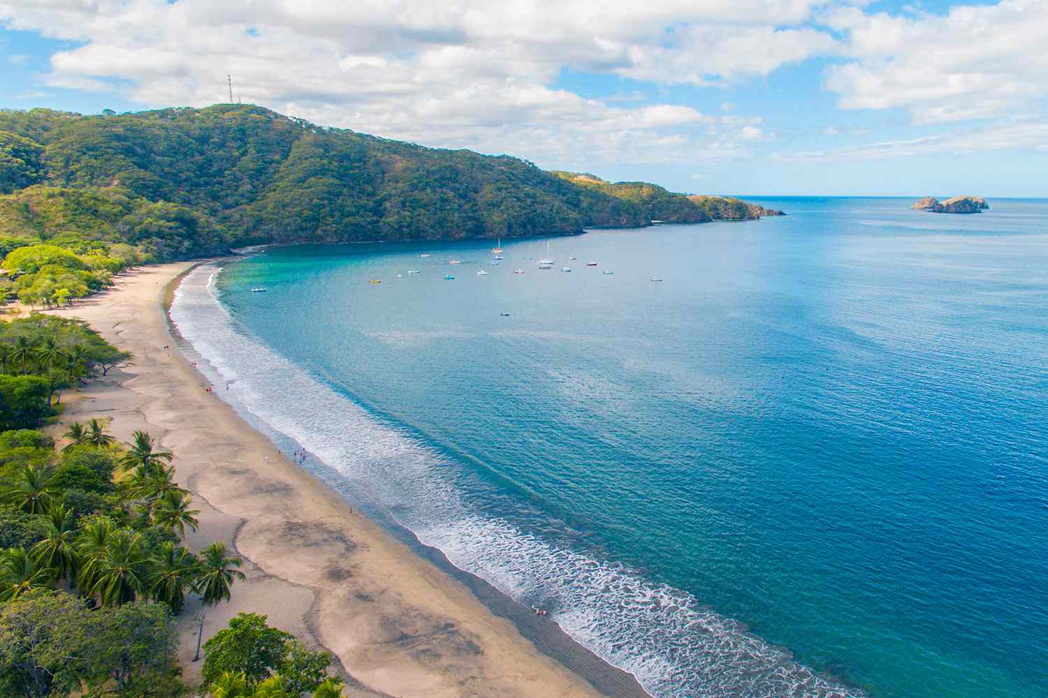 Spices culture in Costa Rica