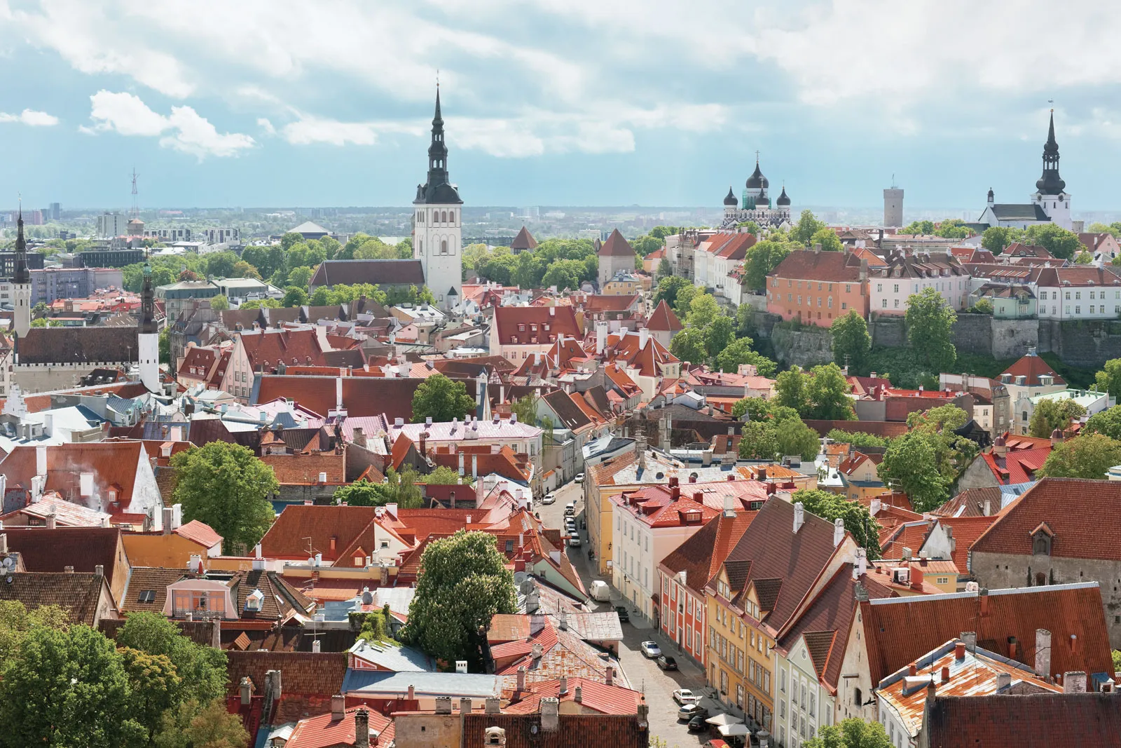 Spices culture in Estonia