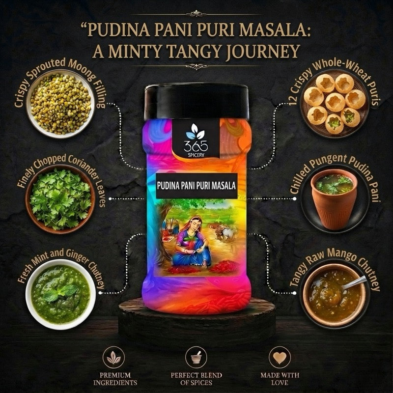 Pudina Pani Puri Masala | Refreshing Mint Street Food Water Mix | Vegan | Gluten-Free | No Artificial Colours | 365 Spicery