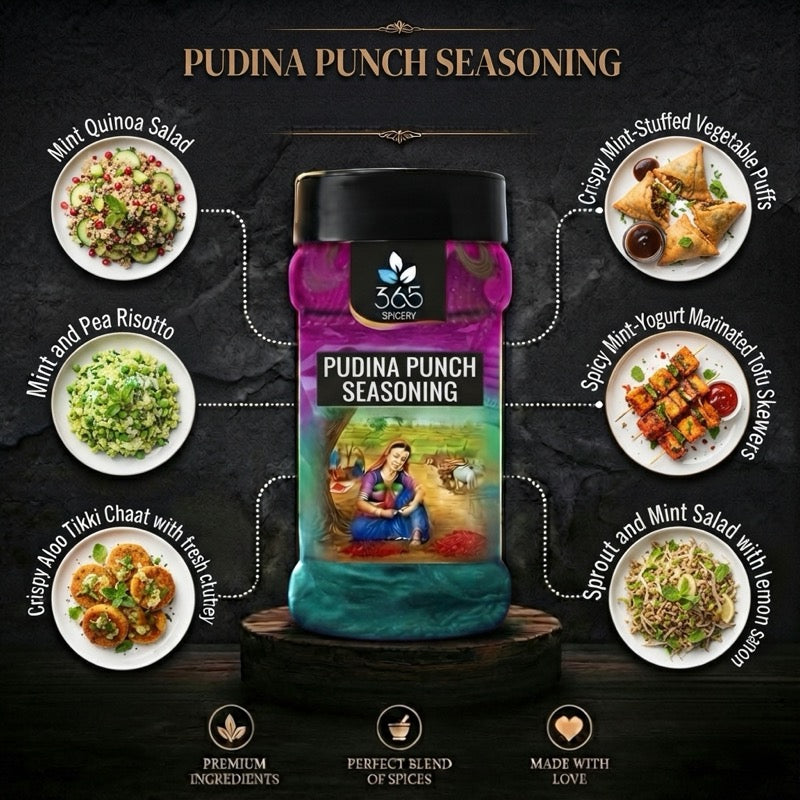 Pudina Punch | Refreshing Mint Street Food Mix | No Artificial Flavours | Gluten-Free | 365 Spicery