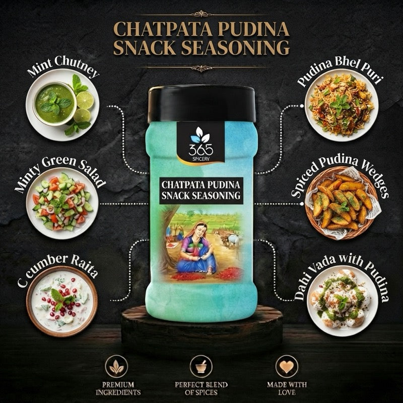 CHATPATA PUDINA SNACK SEASONING | Tangy Mint Spice | No Artificial Flavours | 365 Spicery