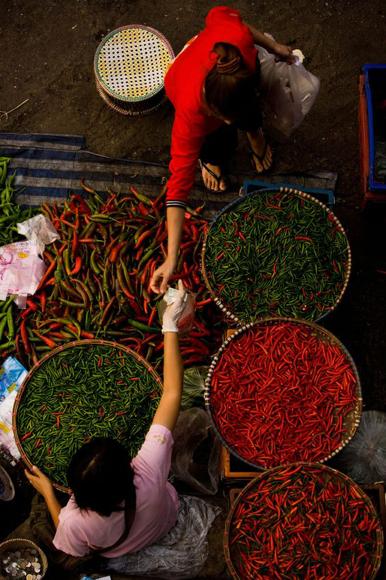 Exploring the Fiery World of Chilli: A Comprehensive Guide