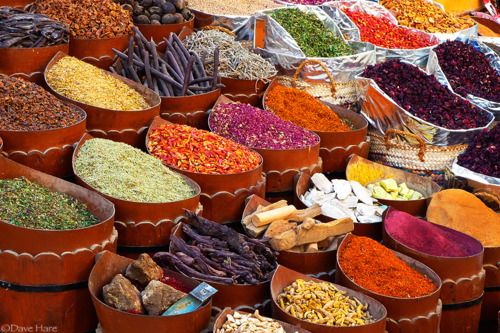 Spice Manufacturer in Madhya Pradesh