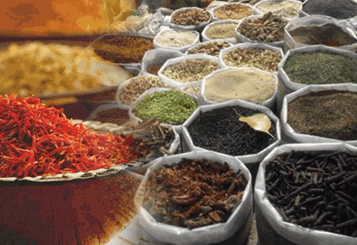 Spice Manufacturer In Arunachal Pradesh