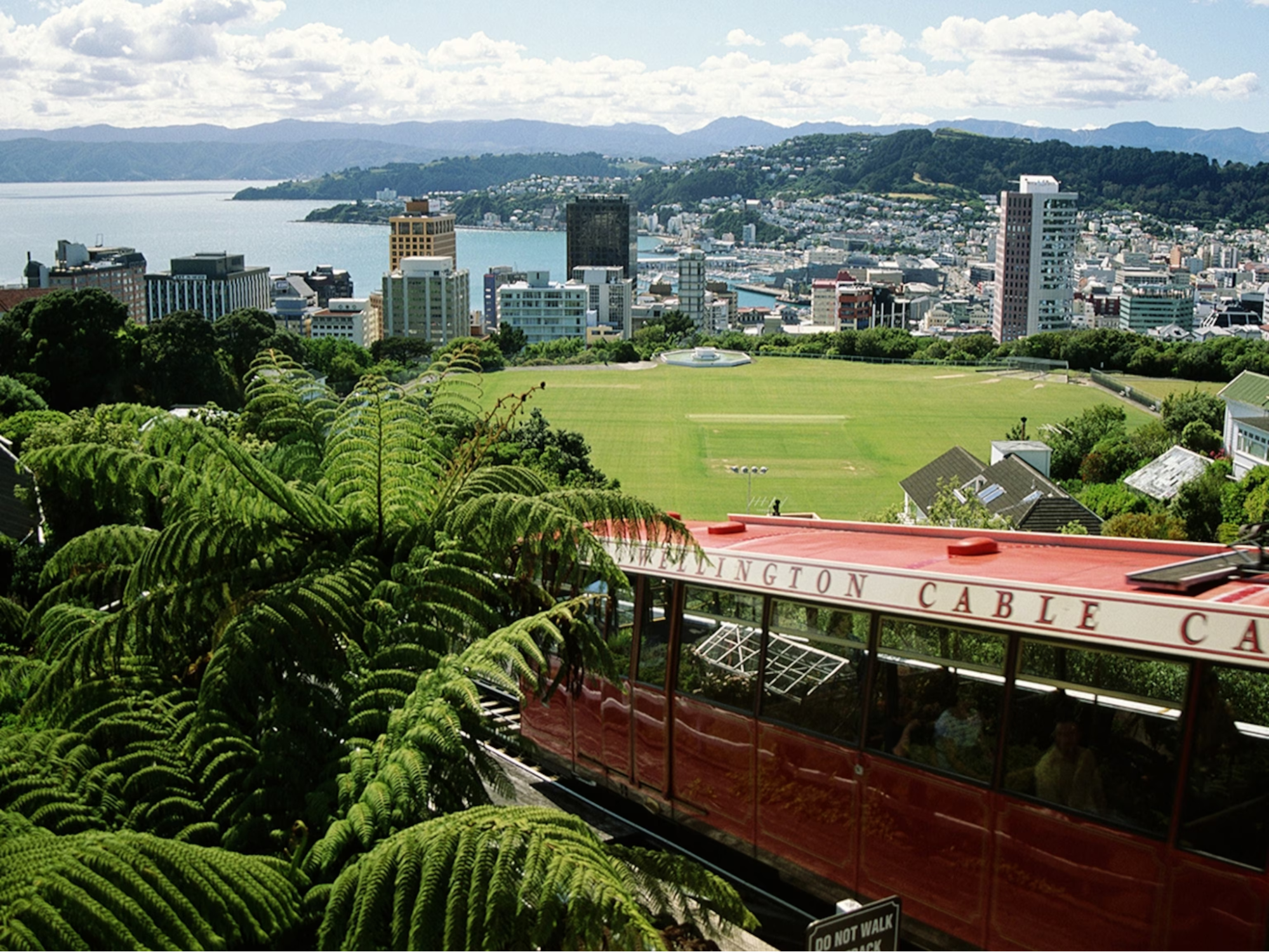 Spices culture in New Zealand