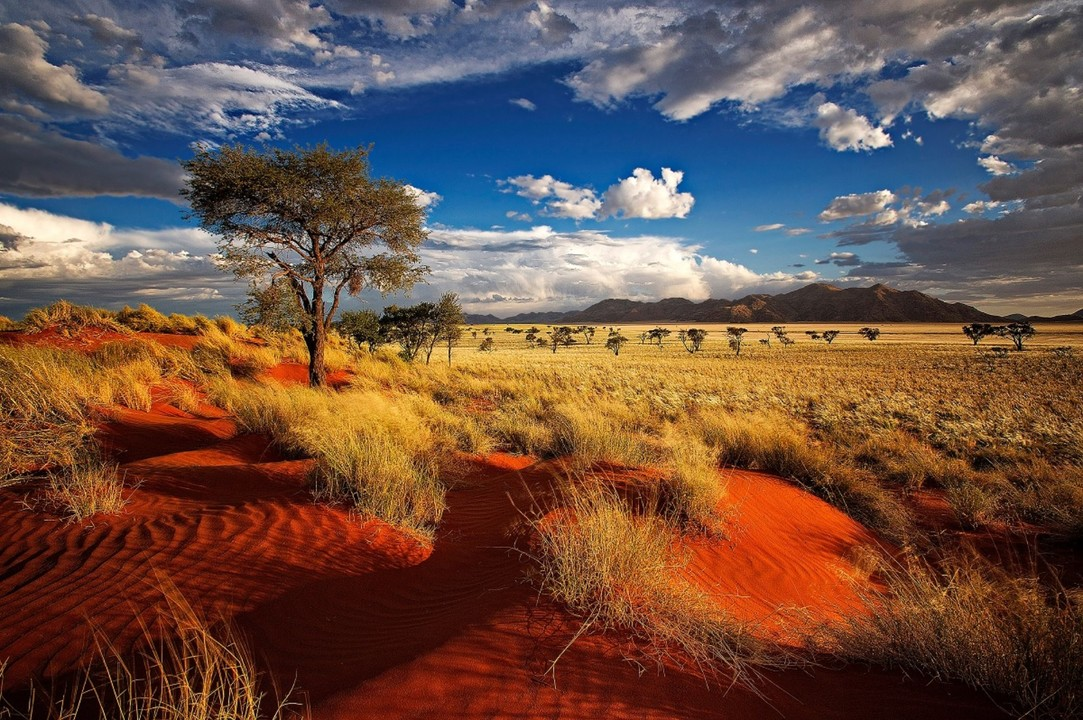 Spices culture in Namibia