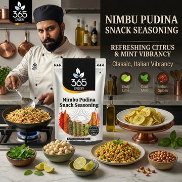 NIMBU PUDINA SNACK SEASONING