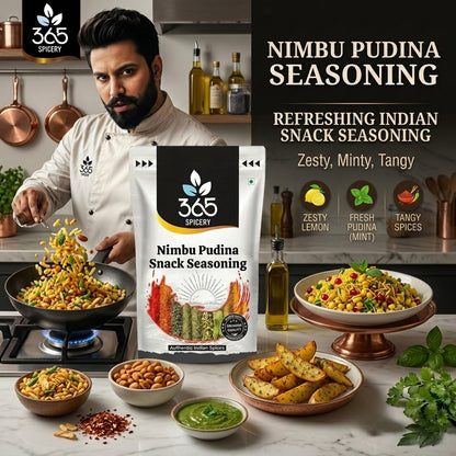 NIMBU PUDINA SNACK SEASONING