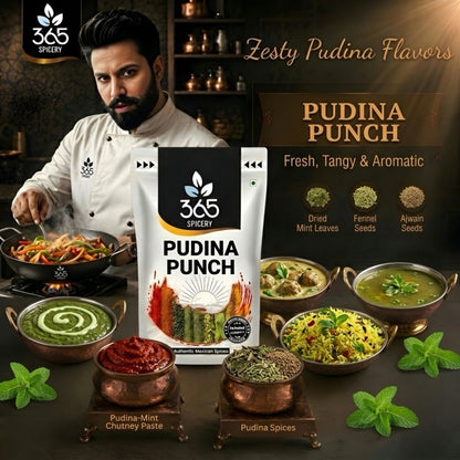 Pudina Punch | Refreshing Mint Street Food Mix | No Artificial Flavours | Gluten-Free | 365 Spicery