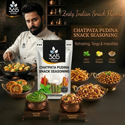 CHATPATA PUDINA SNACK SEASONING | Tangy Mint Spice | No Artificial Flavours | 365 Spicery