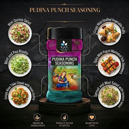 Pudina Punch | Refreshing Mint Street Food Mix | No Artificial Flavours | Gluten-Free | 365 Spicery