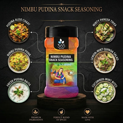 NIMBU PUDINA SNACK SEASONING | Tangy Minty Refreshing Blend | Gluten-Free | No MSG | 365 Spicery