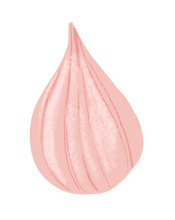 Pahadi Pink Garlic